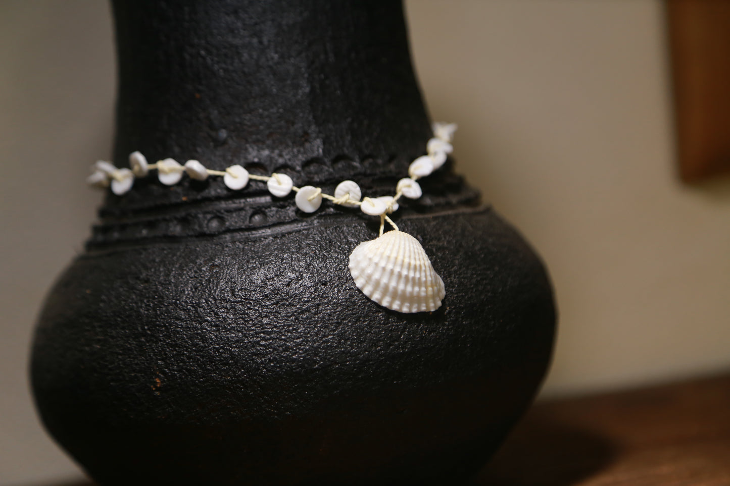 Coquille Trắng