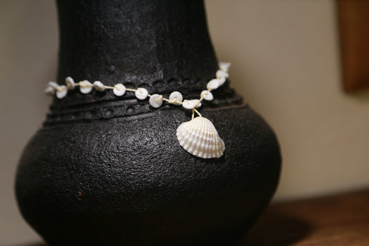 Coquille Trắng